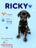 Ricky