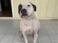Linda