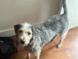 Maria