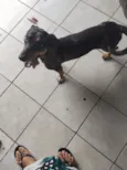Zoe