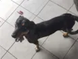 Zoe