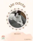 Belezo