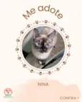 Nina