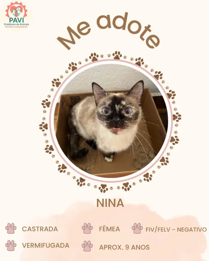 Gato raça SRD-ViraLata idade 6 ou mais anos nome Nina