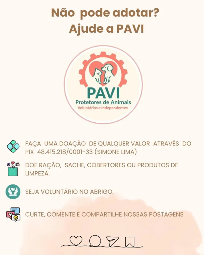 Gato raça SRD-ViraLata idade 6 ou mais anos nome Nina