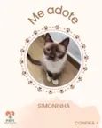 SIMONINHA