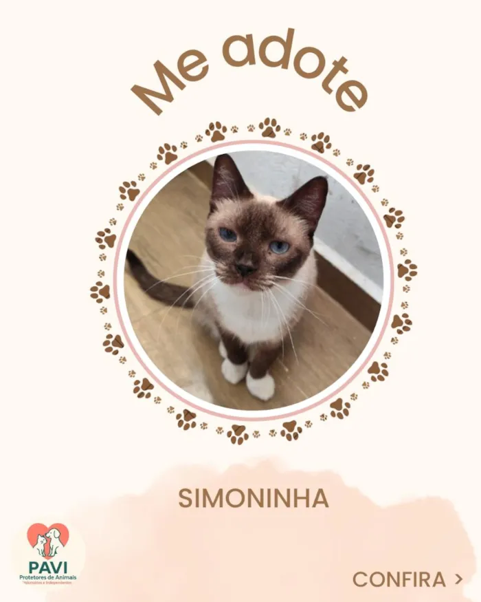 Gato raça SRD-ViraLata idade 5 anos nome SIMONINHA