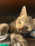 Kiara
