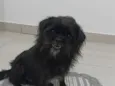 Billy