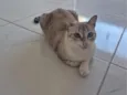 gloria 