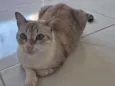 gloria 