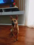 Dexter