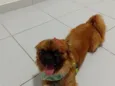 Beethoven 