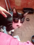 Yuni