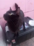 Awêem