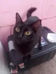Awêem