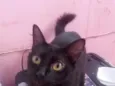Awêem