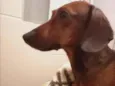 Lucky