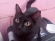 Awêem