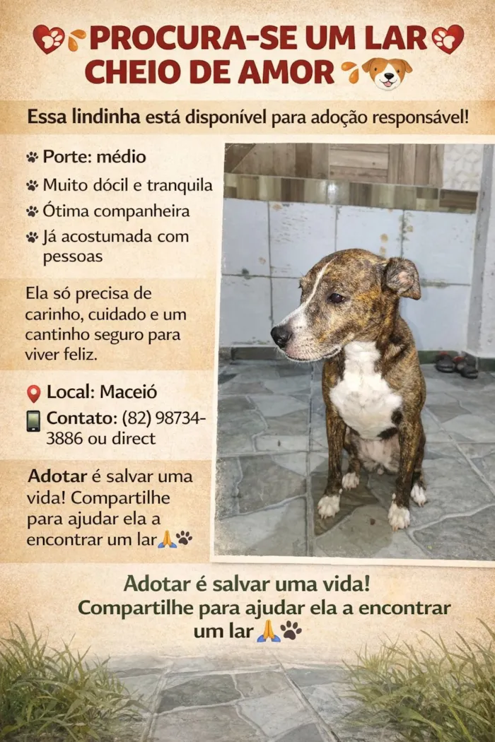 Cachorro raça SRD-ViraLata idade 6 ou mais anos nome Nina 