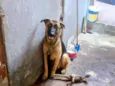 Frederico 
