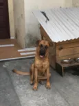 Éron