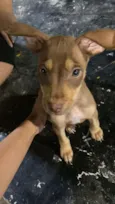 Lila