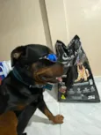 ralf 