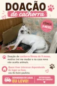 Blanca 