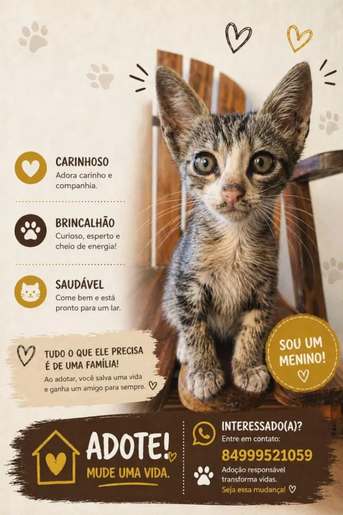Gato raça SRD-ViraLata idade Abaixo de 2 meses nome ainda não tem nome*