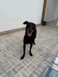 Lupy