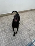 Lupy