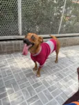 Lunna