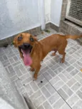 Lunna