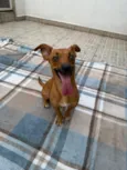 Lunna