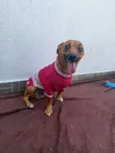 Lunna