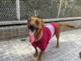 Lunna