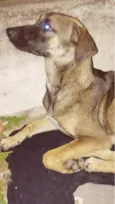 Não tem nome 