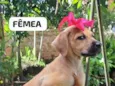 CHALENE