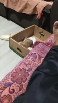 mãe estrela  demais constelação  ate terem donos nomes reta meninas um macho