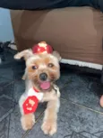 Benjamin 