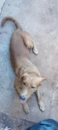 Fio