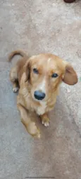 Fio