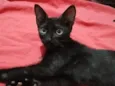 RAFÍ