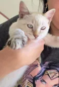 Mika
