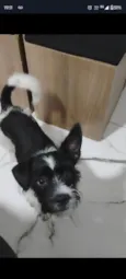flash
