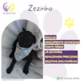 Zezinho