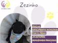 Zezinho