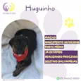Hugoinho
