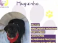 Hugoinho
